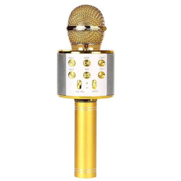 WS858 Portable Wireless Karaoke Microphone & Bluetooth Speaker