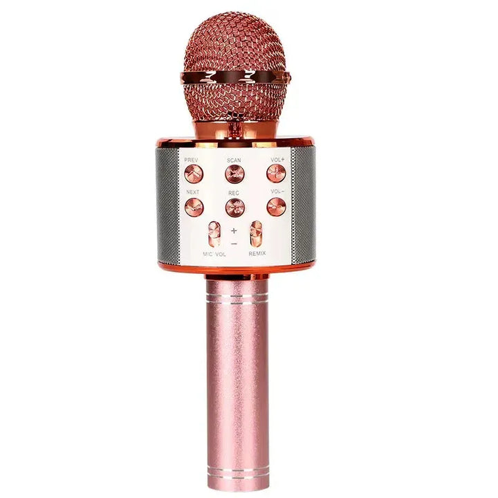 WS858 Portable Wireless Karaoke Microphone & Bluetooth Speaker