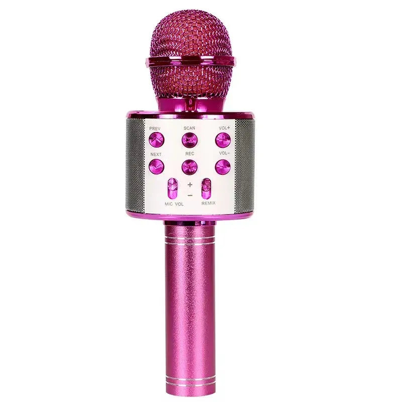 WS858 Portable Wireless Karaoke Microphone & Bluetooth Speaker