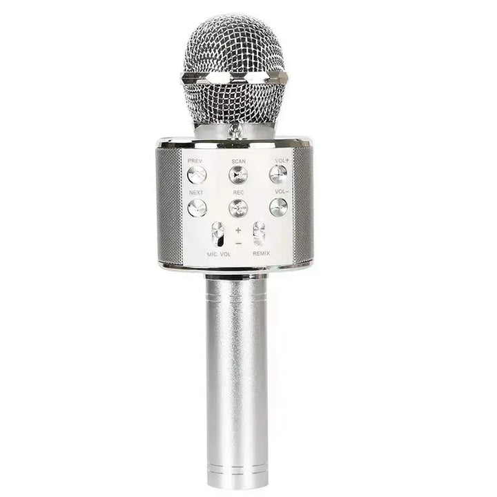 WS858 Portable Wireless Karaoke Microphone & Bluetooth Speaker